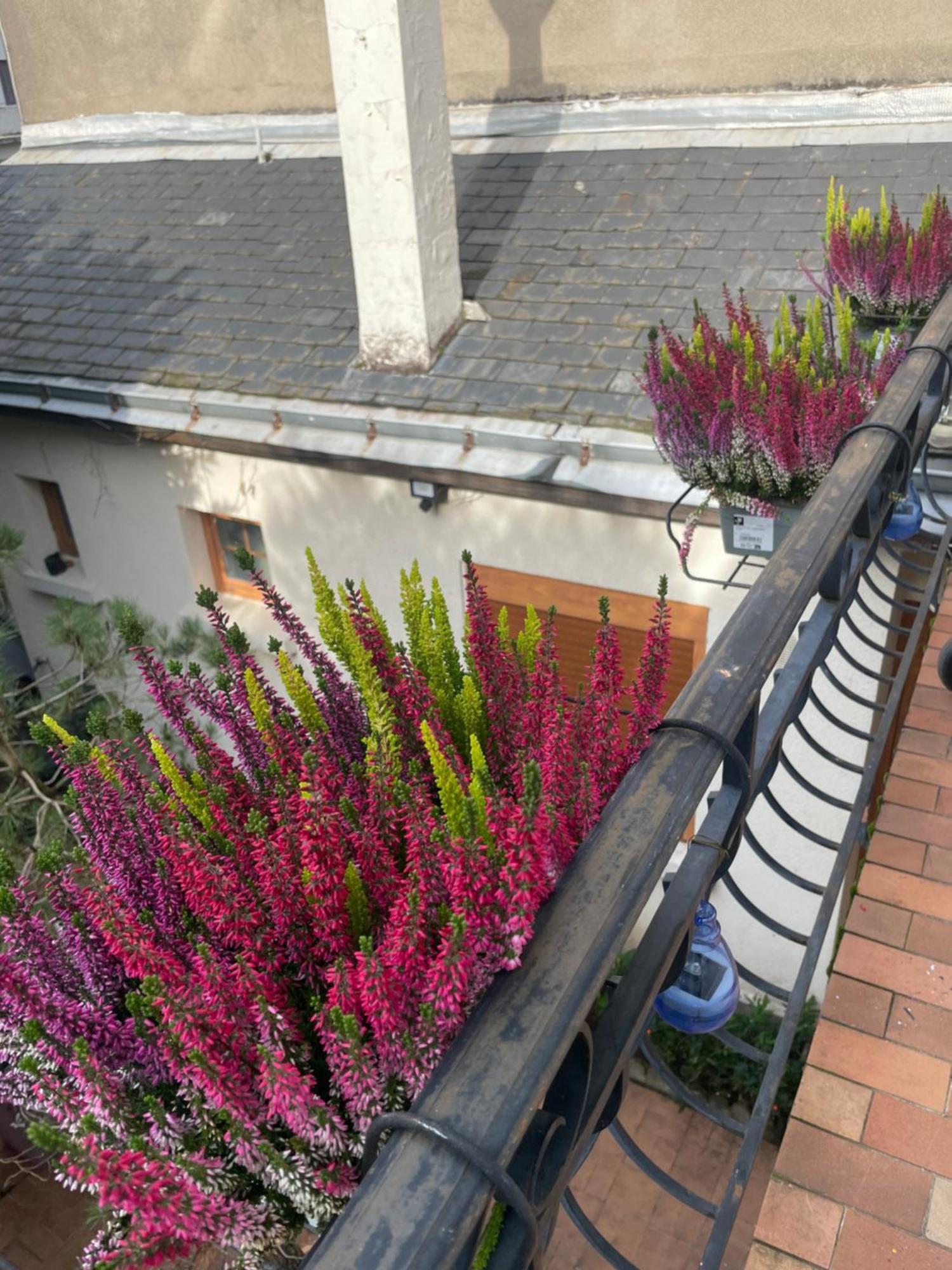 Champoiseau Villa Tours Exterior photo